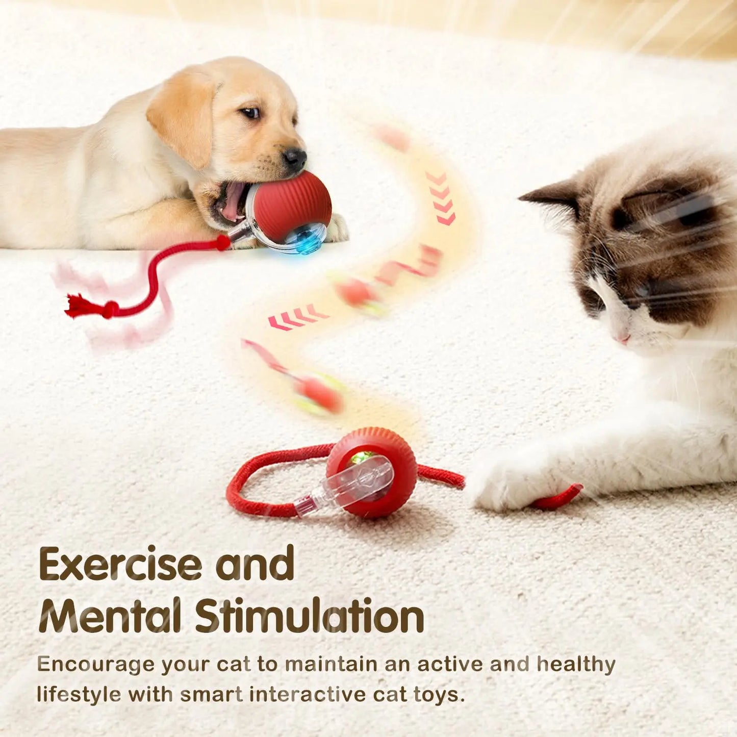 Smart Pet Play Ball